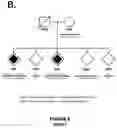 Fig. 08 - Compositions and methods for modulating dysferlin expression
