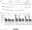 Fig. 10 - Compositions and methods for modulating dysferlin expression