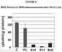 Fig. 09 - Regulating alkaloids