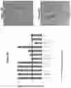 Fig. 09 - Methods and compositions for selective regulation of protein expression