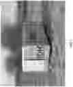 Fig. 02 - RAPID DEPLOYMENT SHELTERS AND SHELTER SYSTEMS