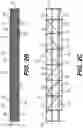 Fig. 05 - Stairs to walkway system and method