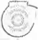 Fig. 04 - Starry Night Cinemas