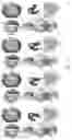Fig. 10 - Motor vehicle lock with three positions