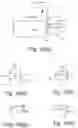 Fig. 14 - Structuring for cushioning deadbolt and/or latch at door frame