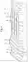 Fig. 05 - DOOR SKIN, A METHOD OF ETCHING A PLATE FOR FORMING A WOOD GRAIN PATTERN IN THE DOOR SKIN, AND AN ETCHED PLATE FORMED THEREFROM