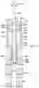 Fig. 19 - Frac manifold isolation tool
