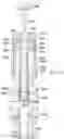 Fig. 20 - Frac manifold isolation tool