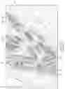 Fig. 03 - Reservoir simulation modeling with well trajectory at true positions in grid simulation models
