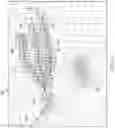Fig. 07 - Reservoir simulation modeling with well trajectory at true positions in grid simulation models