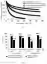 Fig. 05 - Method for evaluating difference in gas injection effect of gas injection wells in carbonate reservoir