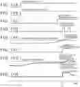 Fig. 09 - Exhaust gas control apparatus for internal combustion engine