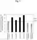 Fig. 08 - EXHAUST GAS PURIFICATION CATALYST