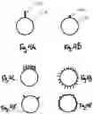 Fig. 05 - Inter-compressor cross-over pipe heat exchanger
