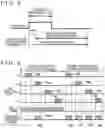 Fig. 05 - Internal combustion engine control device