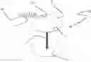 Fig. 01 - Shape memory alloy wire thermostatic torsional actuator and valve including it