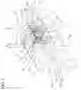 Fig. 03 - Synchronizer for transmission