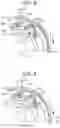 Fig. 07 - Centrifugal clutch
