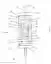 Fig. 06 - Apparatus to convert linear motion to rotary motion