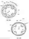 Fig. 20 - Chain ring
