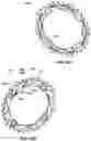 Fig. 22 - Chain ring