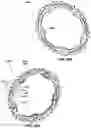 Fig. 28 - Chain ring
