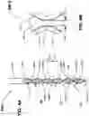 Fig. 06 - Heat exchanger tubes