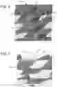 Fig. 07 - Recoil pad for a firearm