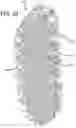 Fig. 18 - Recoil pad for a firearm