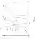 Fig. 09 - Line edge roughness analysis using atomic force microscopy