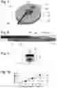 Fig. 03 - Fluid pressure detection device