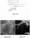 Fig. 07 - Capture probe