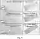 Fig. 03 - Eosin staining techniques