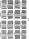 Fig. 08 - Eosin staining techniques