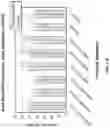 Fig. 13 - Eosin staining techniques
