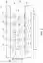 Fig. 04 - Apparatus for analyzing the particulate matter content of an aerosol