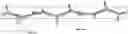 Fig. 01 - Method of evaluating gas permeability of polymer membrane based on molecular dynamics simulation