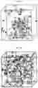 Fig. 04 - Method of evaluating gas permeability of polymer membrane based on molecular dynamics simulation