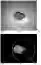 Fig. 12 - System and method for cabinet x-ray systems with near-infrared optical system