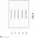 Fig. 07 - Integrated chemical sensor