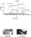 Fig. 71 - Ion generation using modified wetted porous materials