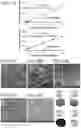 Fig. 86 - Ion generation using modified wetted porous materials