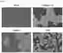 Fig. 06 - Cell-based method for determining an activity of botulinum toxin