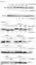 Fig. 07 - Cell-based method for determining an activity of botulinum toxin