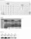 Fig. 15 - Cell-based method for determining an activity of botulinum toxin