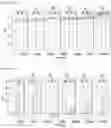Fig. 18 - Cell-based method for determining an activity of botulinum toxin