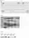 Fig. 14 - Cell-based method for determining an activity of botulinum toxin