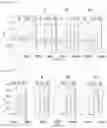 Fig. 17 - Cell-based method for determining an activity of botulinum toxin