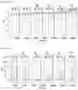 Fig. 18 - Cell-based method for determining an activity of botulinum toxin