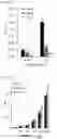 Fig. 29 - Cell-based method for determining an activity of botulinum toxin